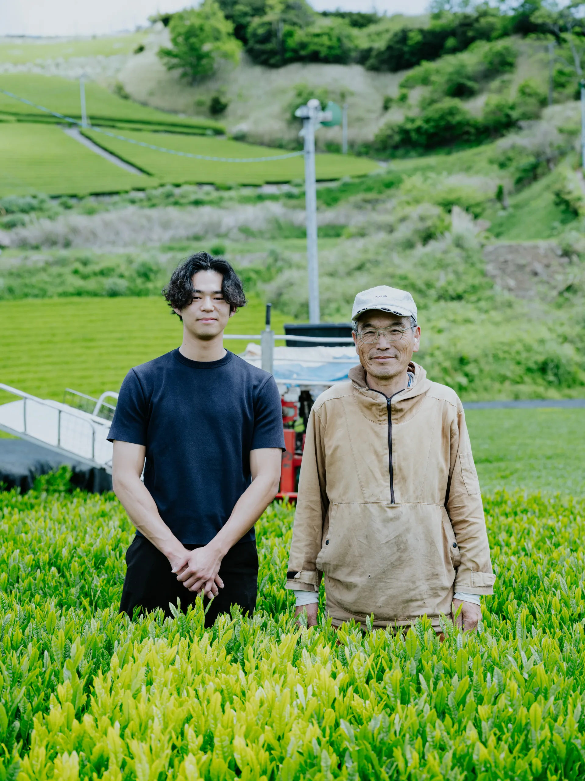 Matcha japonais de Kakegawa